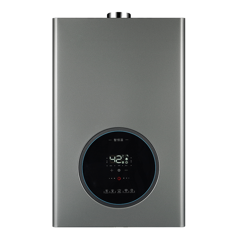 jsq30-16lb58 ذكي ثابت درجة الحرارة سخان المياه الغاز القسري 